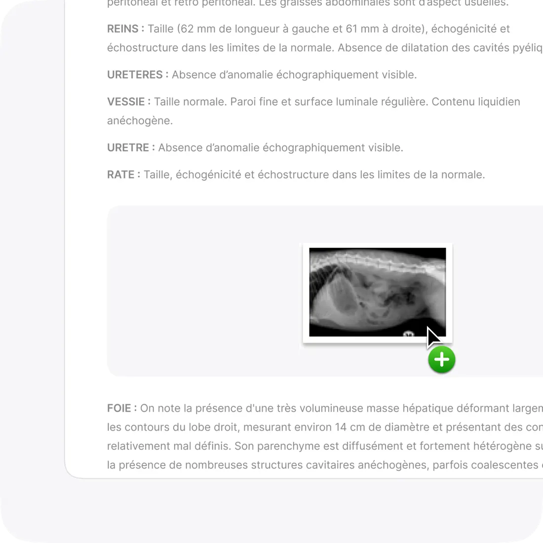 Éditeur de compte rendu vétérinaire enrichi avec images, tableaux et liens dans Vetomatic