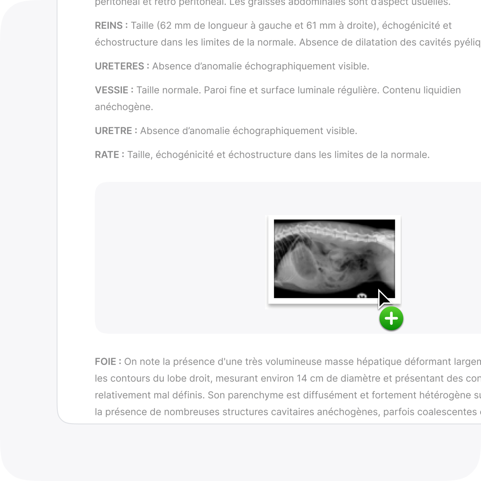Éditeur de compte rendu vétérinaire enrichi avec images, tableaux et liens dans Vetomatic