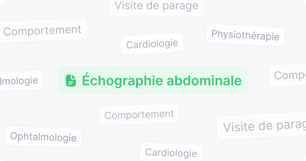 Une rédaction adaptée à vos propres trames